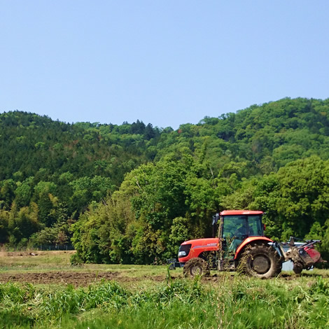 お米(滋賀県竜王町産)